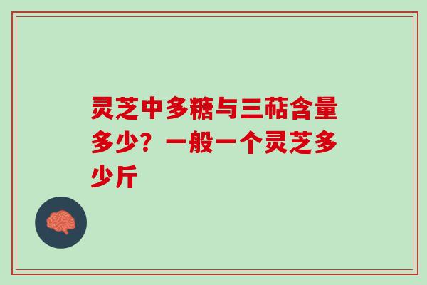 灵芝中多糖与三萜含量多少？一般一个灵芝多少斤