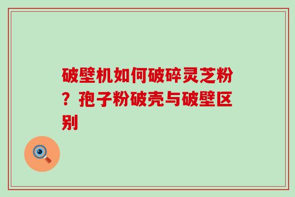 破壁机如何破碎灵芝粉？孢子粉破壳与破壁区别