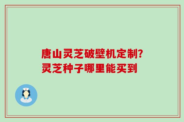 唐山灵芝破壁机定制？灵芝种子哪里能买到