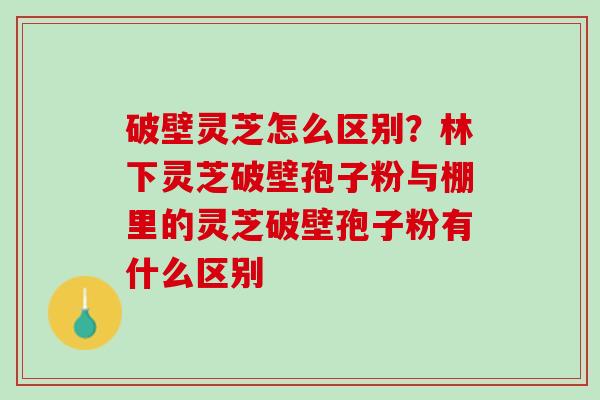 破壁灵芝怎么区别？林下灵芝破壁孢子粉与棚里的灵芝破壁孢子粉有什么区别