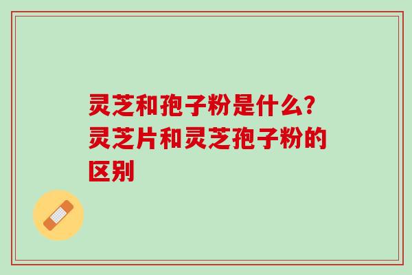 灵芝和孢子粉是什么？灵芝片和灵芝孢子粉的区别