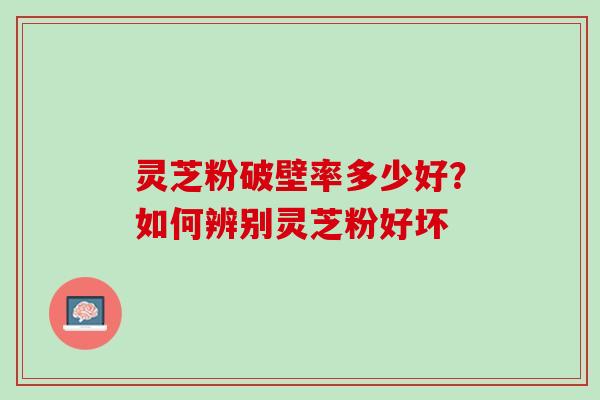 灵芝粉破壁率多少好？如何辨别灵芝粉好坏