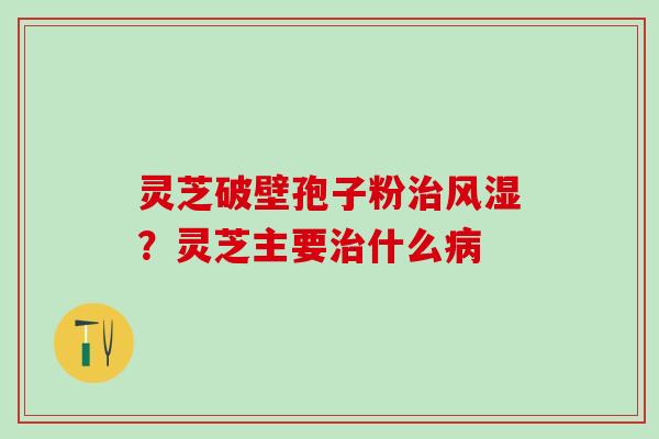 灵芝破壁孢子粉治风湿？灵芝主要治什么病