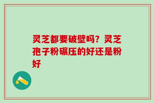 灵芝都要破壁吗？灵芝孢子粉碾压的好还是粉好