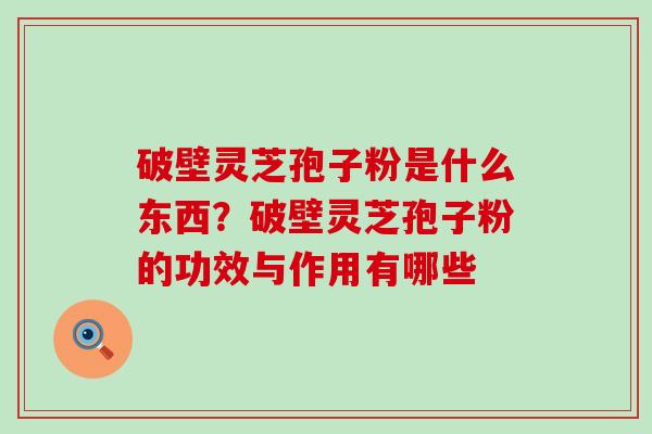 破壁灵芝孢子粉是什么东西？破壁灵芝孢子粉的功效与作用有哪些