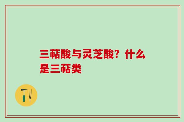 三萜酸与灵芝酸？什么是三萜类