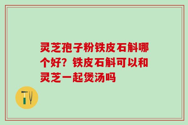 灵芝孢子粉铁皮石斛哪个好？铁皮石斛可以和灵芝一起煲汤吗
