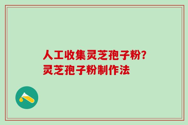 人工收集灵芝孢子粉？灵芝孢子粉制作法
