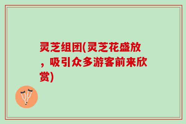 灵芝组团(灵芝花盛放，吸引众多游客前来欣赏)