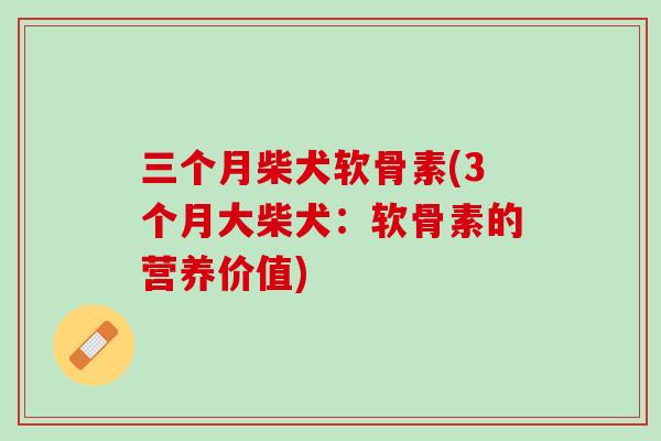 三个月柴犬软骨素(3个月大柴犬：软骨素的营养价值)