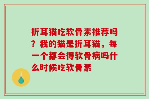 折耳猫吃软骨素推荐吗？我的猫是折耳猫，每一个都会得软骨病吗什么时候吃软骨素