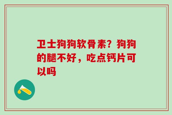 卫士狗狗软骨素？狗狗的腿不好，吃点钙片可以吗