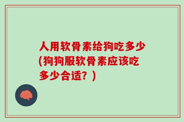 人用软骨素给狗吃多少(狗狗服软骨素应该吃多少合适？)