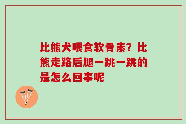 比熊犬喂食软骨素？比熊走路后腿一跳一跳的是怎么回事呢