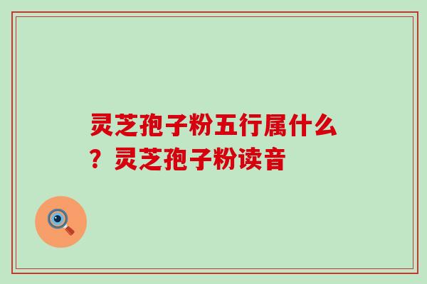 灵芝孢子粉五行属什么?灵芝孢子粉读音 灵芝孢子粉五行属什么?灵芝孢子粉读音