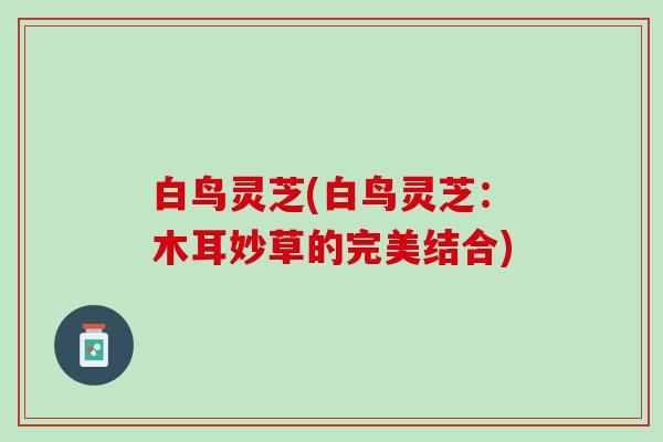白鸟灵芝(白鸟灵芝：木耳妙草的完美结合)