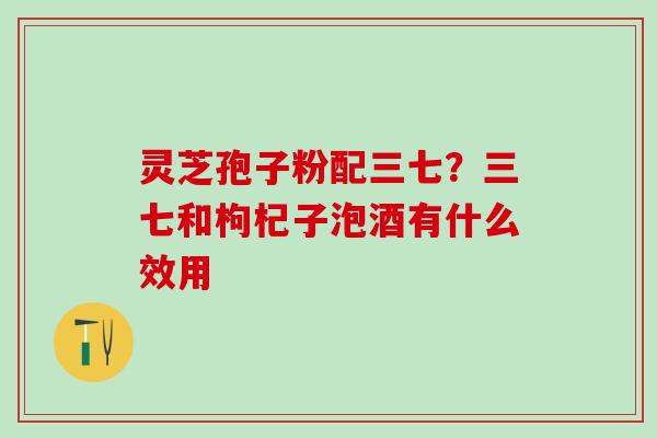 灵芝孢子粉配三七？三七和枸杞子泡酒有什么效用