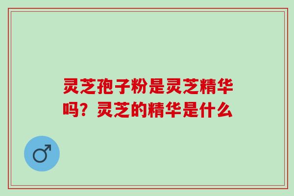 灵芝孢子粉是灵芝精华吗？灵芝的精华是什么