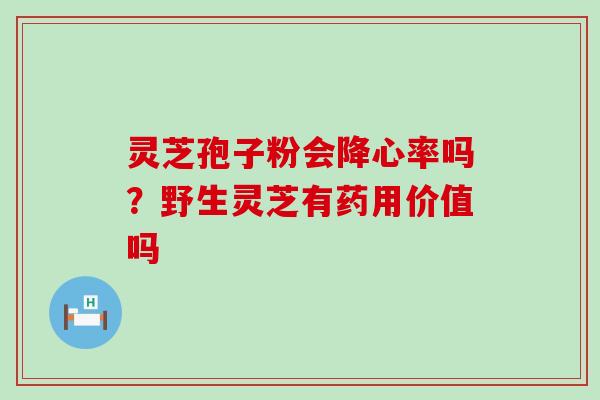灵芝孢子粉会降心率吗？野生灵芝有药用价值吗