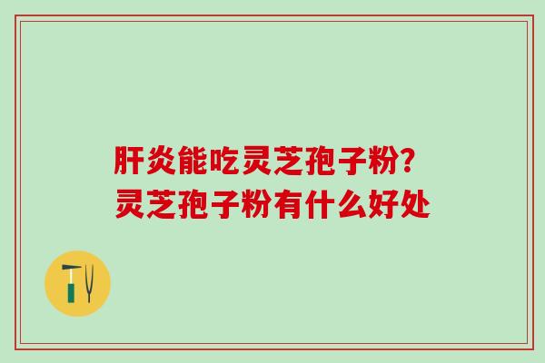 肝炎能吃灵芝孢子粉？灵芝孢子粉有什么好处