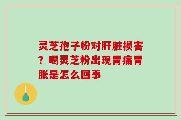灵芝孢子粉对肝脏损害？喝灵芝粉出现胃痛胃胀是怎么回事