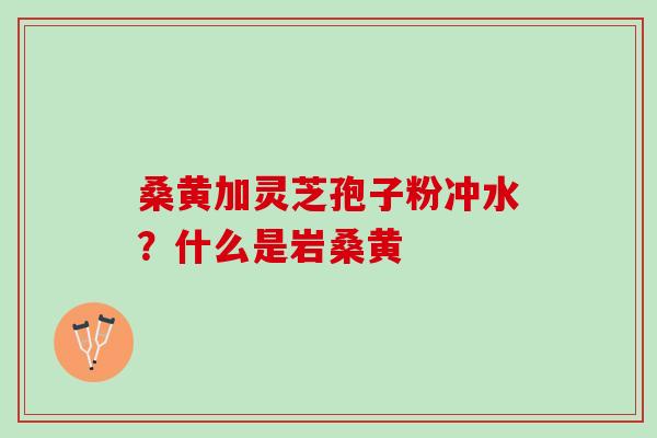 桑黄加灵芝孢子粉冲水？什么是岩桑黄