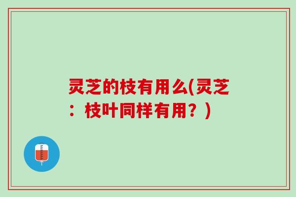 灵芝的枝有用么(灵芝：枝叶同样有用？)