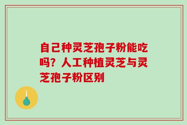 自己种灵芝孢子粉能吃吗?人工种植灵芝与灵芝孢子粉区别 自己种灵芝孢子粉能吃吗?人工种植灵芝与灵芝孢子粉区别