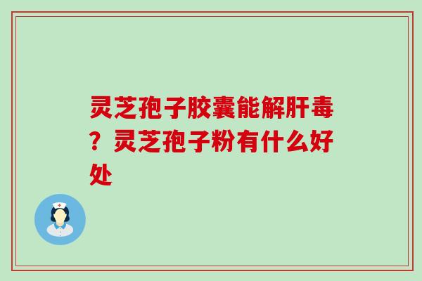 灵芝孢子胶囊能解肝毒？灵芝孢子粉有什么好处