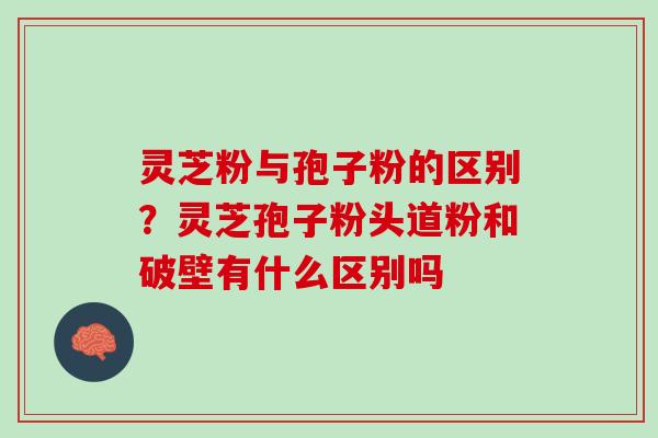 灵芝粉与孢子粉的区别？灵芝孢子粉头道粉和破壁有什么区别吗