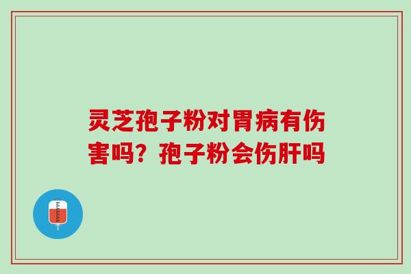 灵芝孢子粉对胃病有伤害吗？孢子粉会伤肝吗