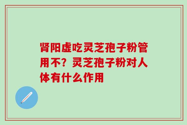 肾阳虚吃灵芝孢子粉管用不？灵芝孢子粉对人体有什么作用