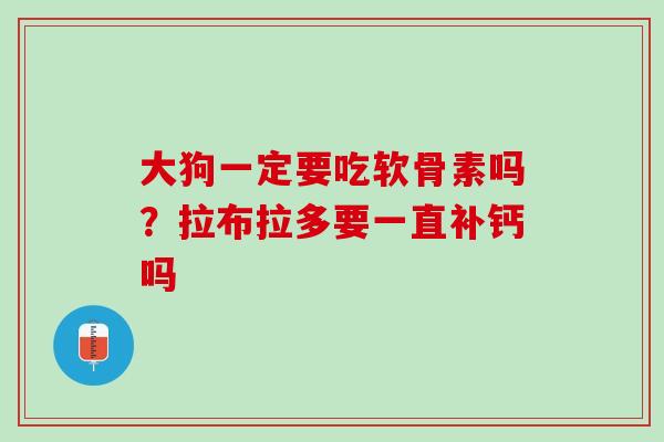 大狗一定要吃软骨素吗？拉布拉多要一直补钙吗