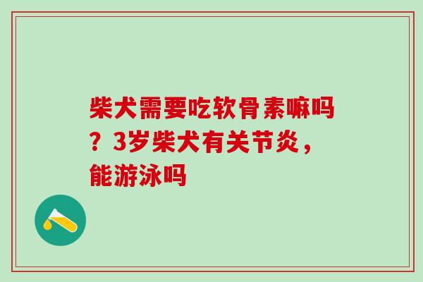 柴犬需要吃软骨素嘛吗？3岁柴犬有关节炎，能游泳吗