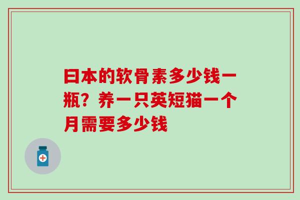 曰本的软骨素多少钱一瓶？养一只英短猫一个月需要多少钱