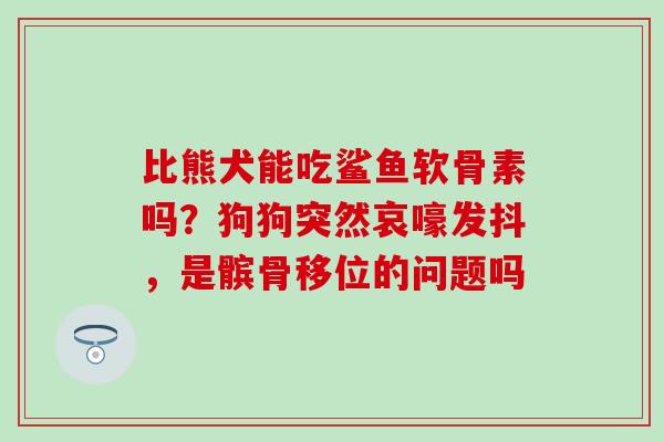 比熊犬能吃鲨鱼软骨素吗？狗狗突然哀嚎发抖，是髌骨移位的问题吗