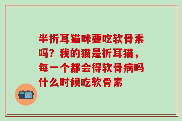半折耳猫咪要吃软骨素吗？我的猫是折耳猫，每一个都会得软骨病吗什么时候吃软骨素
