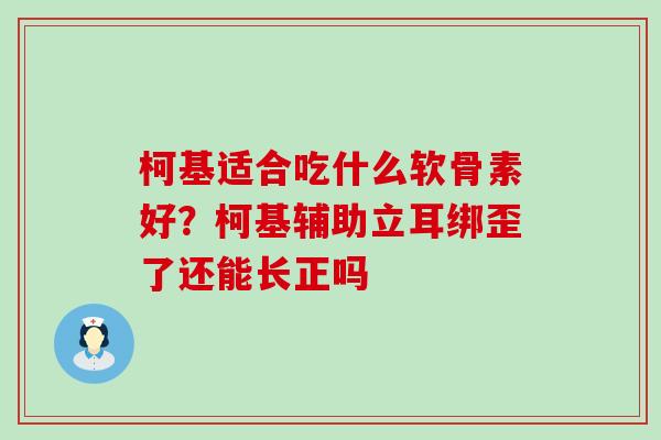 柯基适合吃什么软骨素好？柯基辅助立耳绑歪了还能长正吗