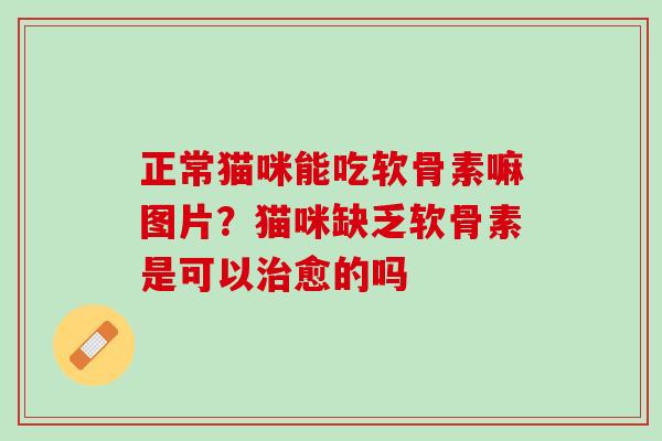 正常猫咪能吃软骨素嘛图片？猫咪缺乏软骨素是可以治愈的吗