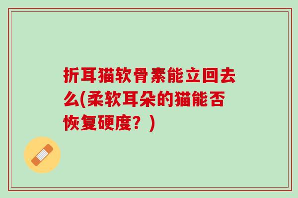折耳猫软骨素能立回去么(柔软耳朵的猫能否恢复硬度？)