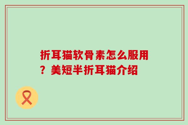 折耳猫软骨素怎么服用？美短半折耳猫介绍