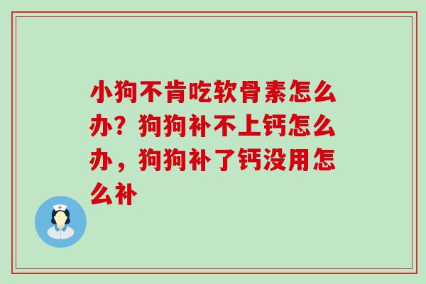 小狗不肯吃软骨素怎么办？狗狗补不上钙怎么办，狗狗补了钙没用怎么补