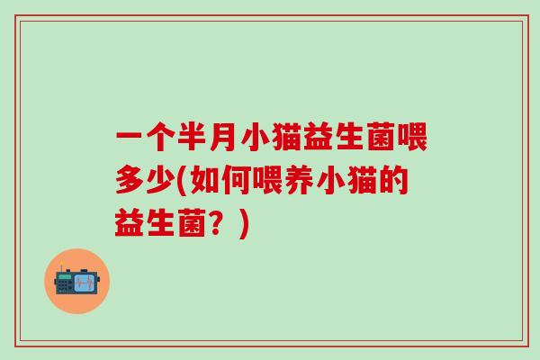 一个半月小猫益生菌喂多少(如何喂养小猫的益生菌？)
