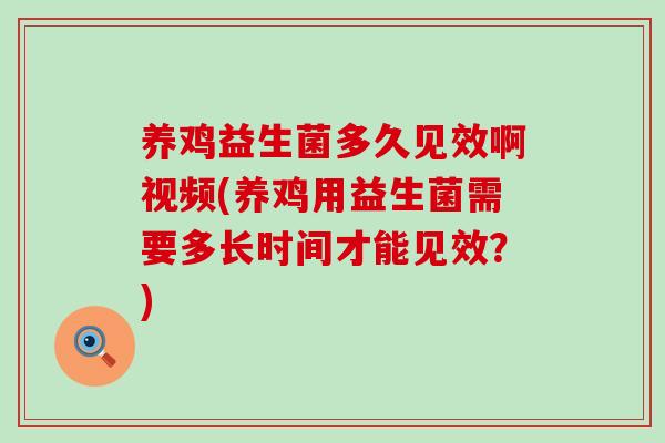 养鸡益生菌多久见效啊视频(养鸡用益生菌需要多长时间才能见效？)