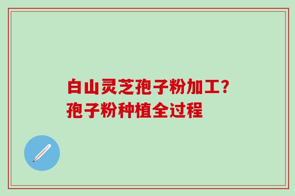 白山灵芝孢子粉加工？孢子粉种植全过程