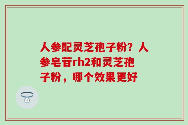 人参配灵芝孢子粉？人参皂苷rh2和灵芝孢子粉，哪个效果更好