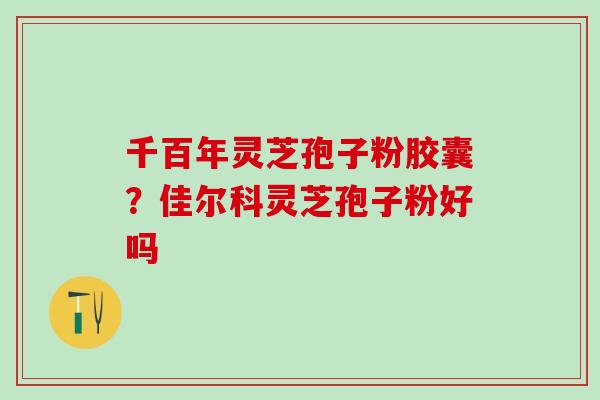 千百年灵芝孢子粉胶囊？佳尔科灵芝孢子粉好吗
