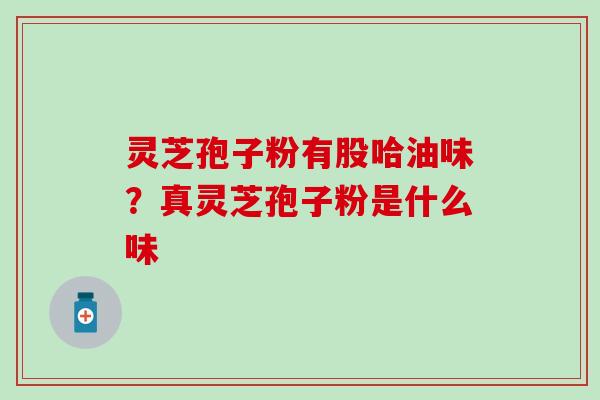 灵芝孢子粉有股哈油味？真灵芝孢子粉是什么味