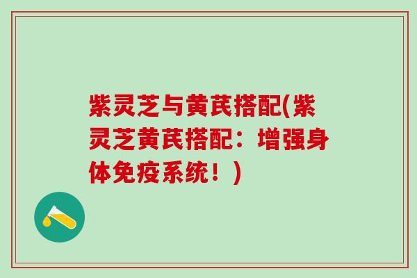 紫灵芝与黄芪搭配(紫灵芝黄芪搭配：增强身体免疫系统！)