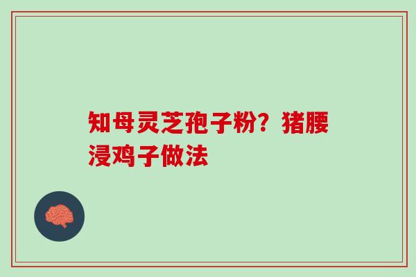 知母灵芝孢子粉？猪腰浸鸡子做法